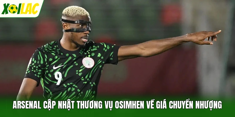 Arsenal cập nhật thương vụ Osimhen về giá chuyển nhượng