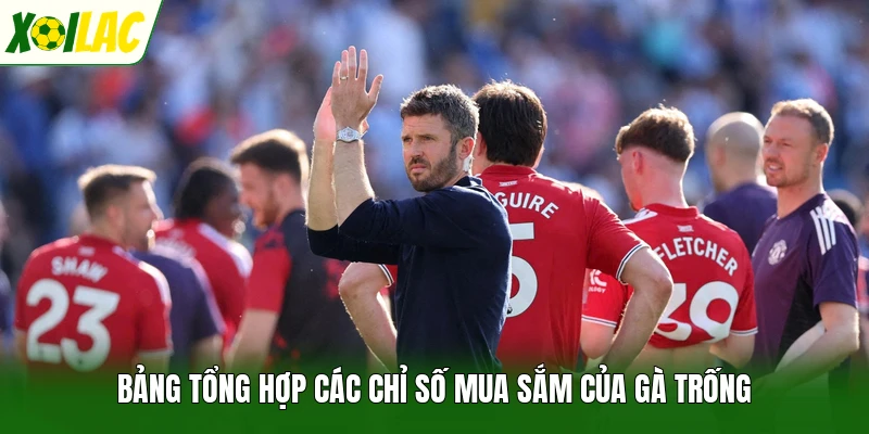 Bảng tổng hợp các chỉ số mua sắm của gà trống
