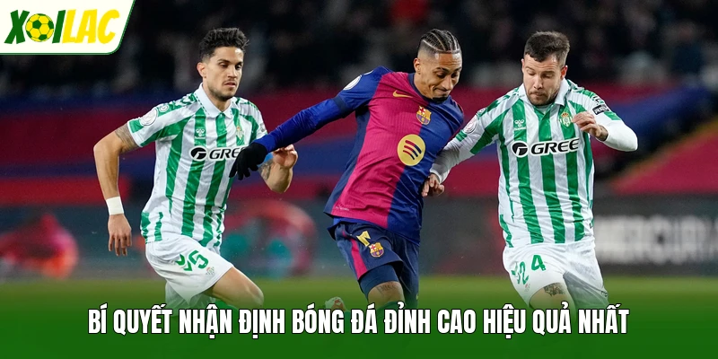 Bí quyết nhận định bóng đá đỉnh cao hiệu quả nhất