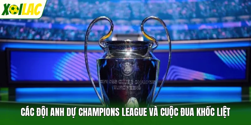 Các Đội Anh Dự Champions League Và Cuộc Đua Khốc Liệt