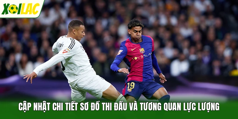 Cập nhật chi tiết sơ đồ thi đấu và tương quan lực lượng