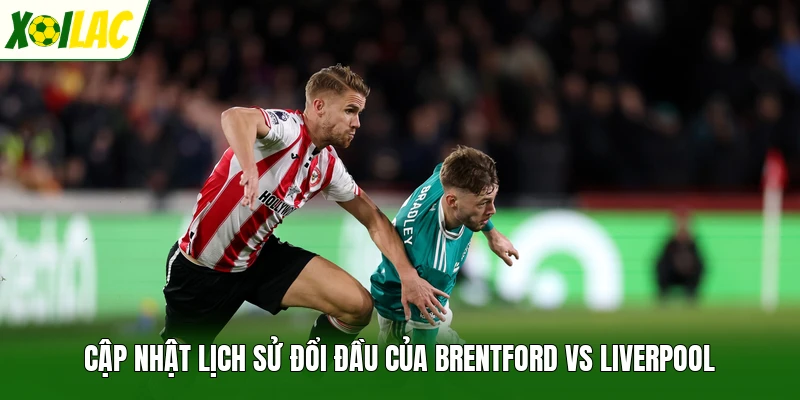 Cập nhật lịch sử đổi đầu của Brentford vs Liverpool