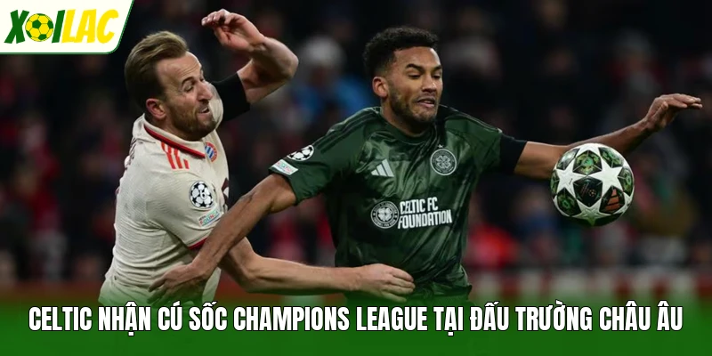 Celtic nhận cú sốc Champions League tại đấu trường châu Âu