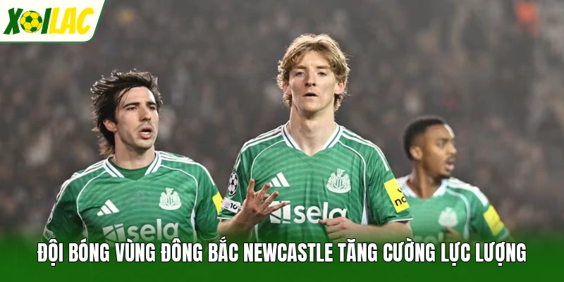 Đội bóng vùng Đông Bắc Newcastle tăng cường lực lượng