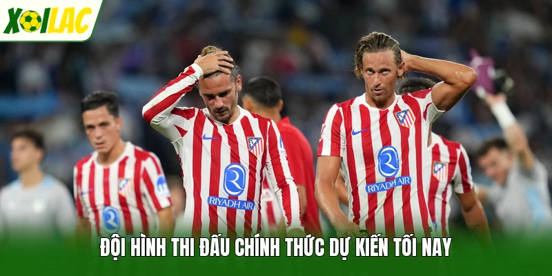 Đội hình thi đấu chính thức dự kiến tối nay