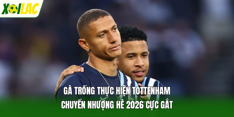 Gà trống thực hiện Tottenham chuyển nhượng hè 2026 cực gắt