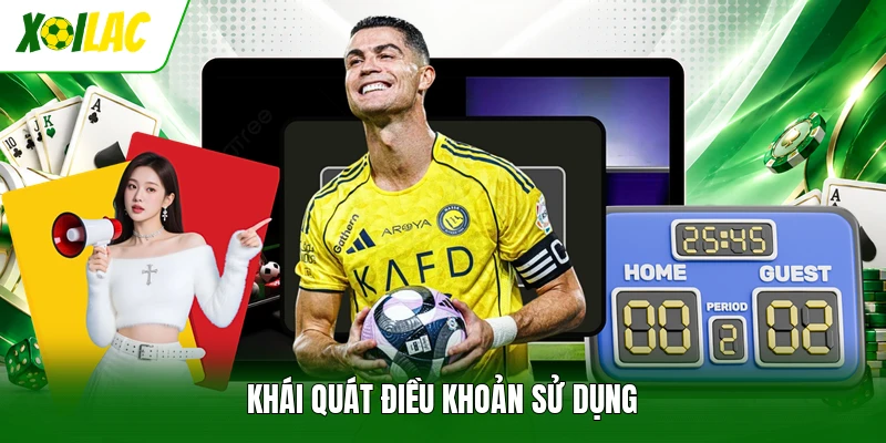 Khái quát điều khoản sử dụng 