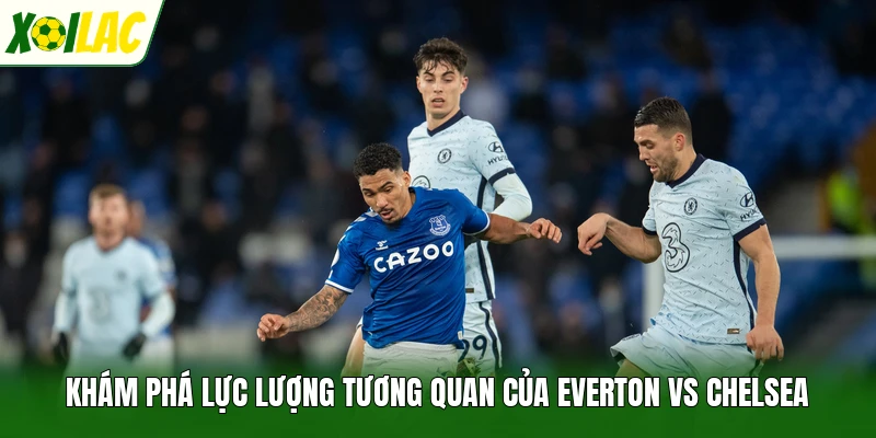 Khám phá lực lượng tương quan của Everton vs Chelsea