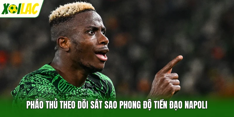 Pháo Thủ theo dõi sát sao phong độ tiền đạo Napoli