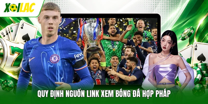 Quy định nguồn link xem bóng đá hợp pháp