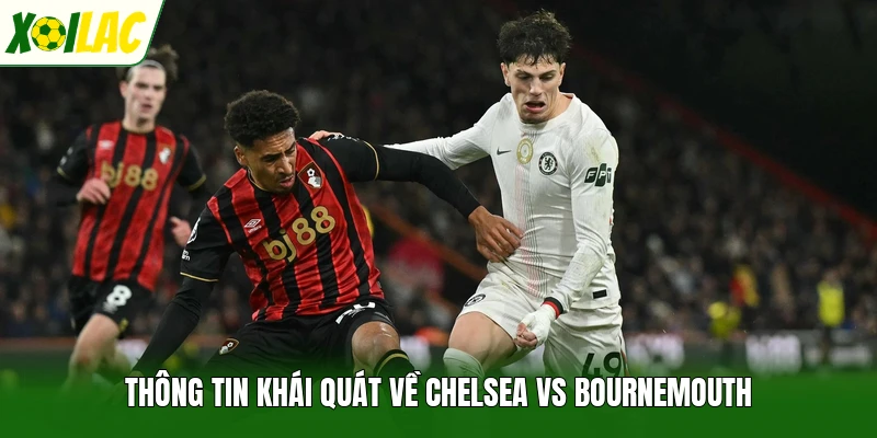 Thông tin khái quát về Chelsea vs Bournemouth