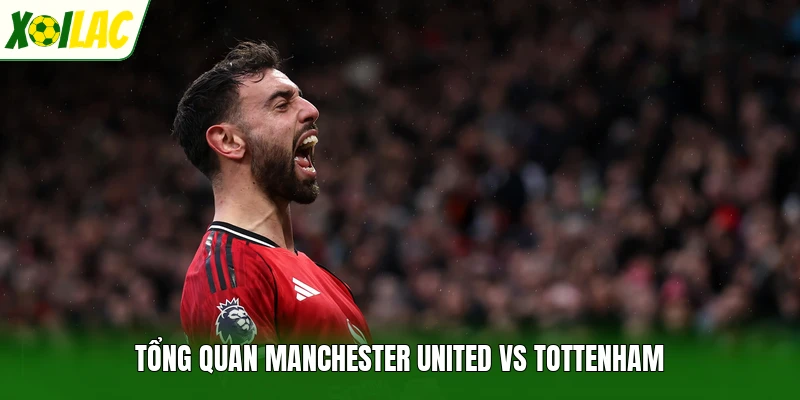 Tổng quan Manchester United vs Tottenham